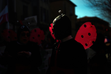 Fotos del Carnaval en Tafalla