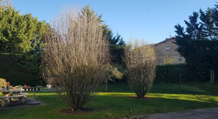Jardín segregable