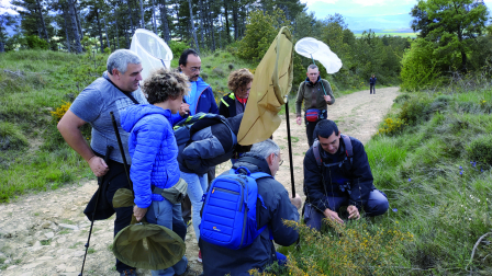 Salida de campo por Tajonar para observar e identificar mariposas.