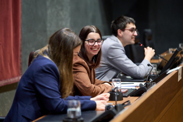 Los estudiantes, en el Parlamento de Navarra.