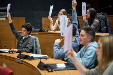 Los estudiantes, en el Parlamento de Navarra.