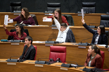 Los estudiantes, en el Parlamento de Navarra.