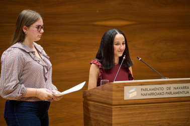 Los estudiantes, en el Parlamento de Navarra.