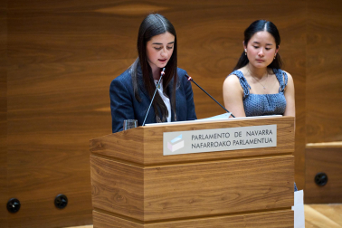 Los estudiantes, en el Parlamento de Navarra.