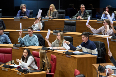 Los estudiantes, en el Parlamento de Navarra.