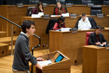 Los estudiantes, en el Parlamento de Navarra.
