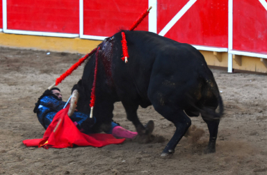 Momento de la cogida de Francisco Expósito