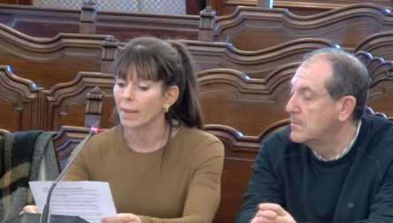 María Nieves Berjarano, representante de 'Salvemos Larrabide', en el Salón de Plenos municipal