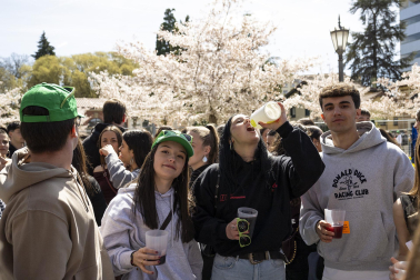 Fotos de la Carpa Universitaria de primavera 2026