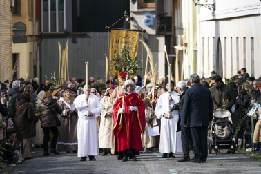Celebración del Domingo de Ramos en Pamplona.