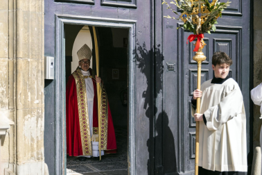 Celebración del Domingo de Ramos en Pamplona.