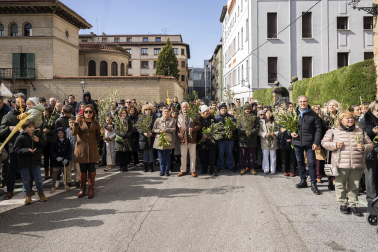 Celebración del Domingo de Ramos en Pamplona.