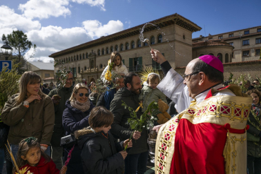 Celebración del Domingo de Ramos en Pamplona.