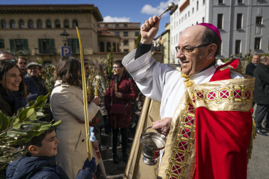 Celebración del Domingo de Ramos en Pamplona.