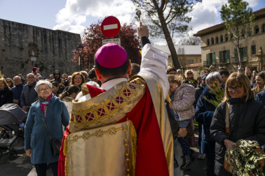 Celebración del Domingo de Ramos en Pamplona.