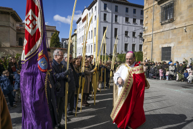 Celebración del Domingo de Ramos en Pamplona.