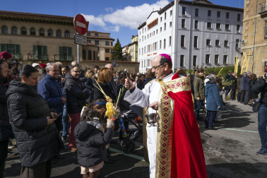 Celebración del Domingo de Ramos en Pamplona.