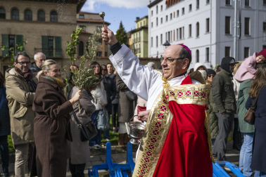 Celebración del Domingo de Ramos en Pamplona.