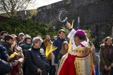 Celebración del Domingo de Ramos en Pamplona.
