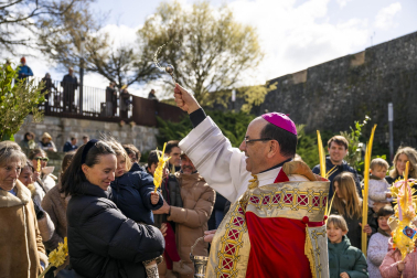 Celebración del Domingo de Ramos en Pamplona.