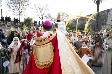 Celebración del Domingo de Ramos en Pamplona.