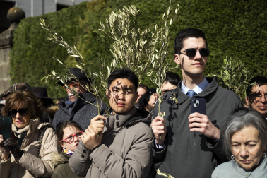 Celebración del Domingo de Ramos en Pamplona.