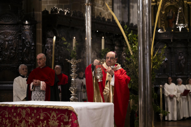 Celebración del Domingo de Ramos en Pamplona.