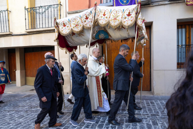 Fotos de la Bajada del Ángel de Tudela 2026