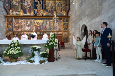 Fotos de la Bajada del Ángel de Tudela 2026