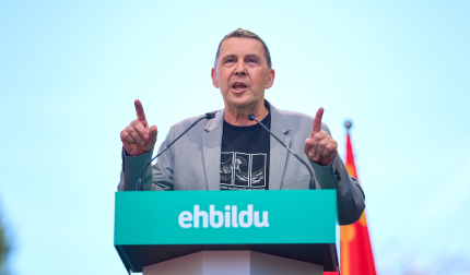 Arnaldo Otegi, este domingo en Pamplona