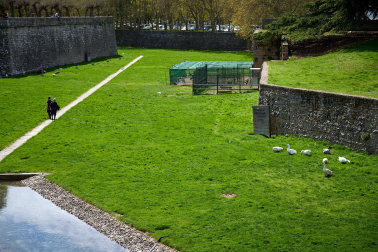 Foto de la liberación de las más de 170 aves enjauladas en el parque de la Taconera