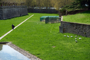 Foto de la liberación de las más de 170 aves enjauladas en el parque de la Taconera