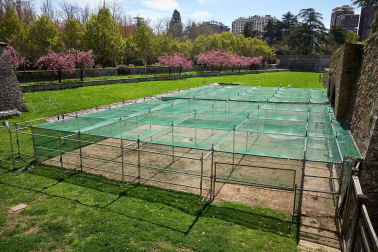 Foto de la liberación de las más de 170 aves enjauladas en el parque de la Taconera