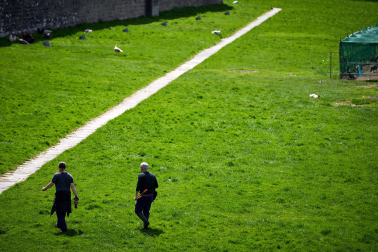 Foto de la liberación de las más de 170 aves enjauladas en el parque de la Taconera