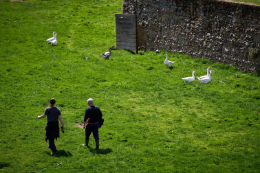 Foto de la liberación de las más de 170 aves enjauladas en el parque de la Taconera