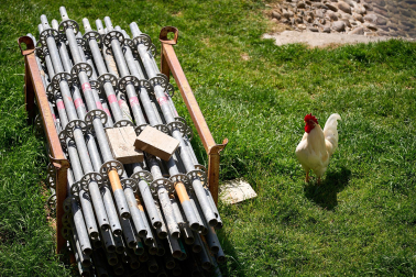 Foto de la liberación de las más de 170 aves enjauladas en el parque de la Taconera