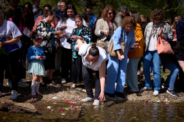 Fotos de la colocación de una placa en honor al pueblo gitano en el río Arga en Pamplona