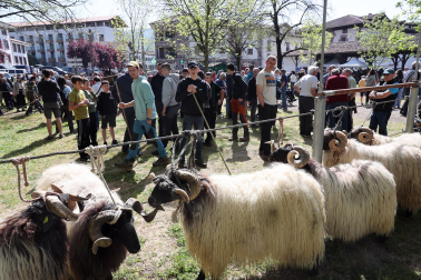 feria de primavera en Elizondo