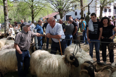 feria de primavera en Elizondo