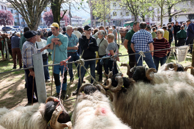 feria de primavera en Elizondo
