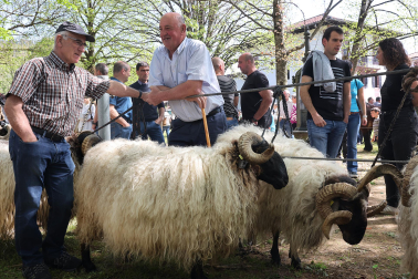 feria de primavera en Elizondo