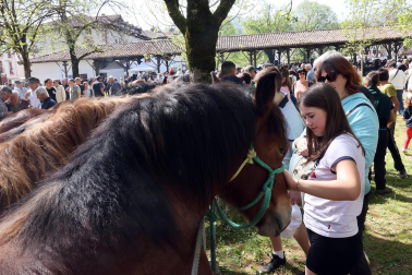feria de primavera en Elizondo