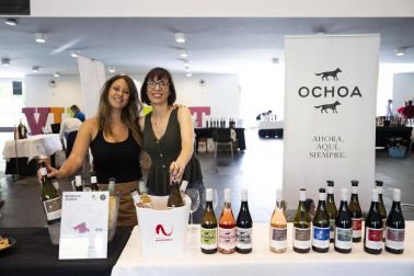 El Baluarte acoge el Vinofest