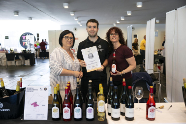 El Baluarte acoge el Vinofest