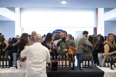 El Baluarte acoge el Vinofest