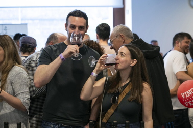 El Baluarte acoge el Vinofest