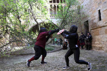 Encuentro de esgrima histórica en Olite.