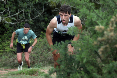 XX Media Maratón de Bera.