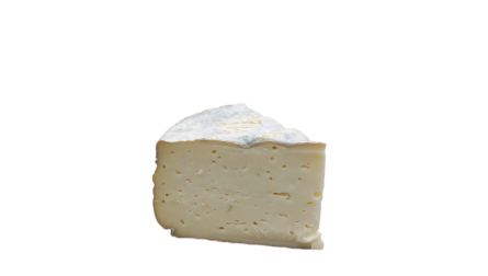 Queso Flor de Guía