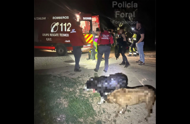 Dos barranquistas fueron rescatados la pasada noche de jueves en la Foz de Arbayún.